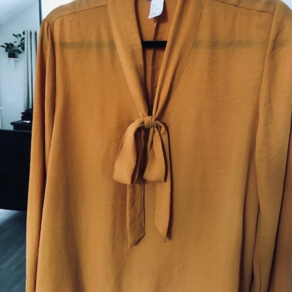 H&M Dressy Blouse